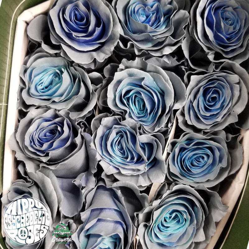 Ecuador Andorian Blue Silver Tinted Singapore Fresh Rose Wholesale Wedding Gifts Premium Top