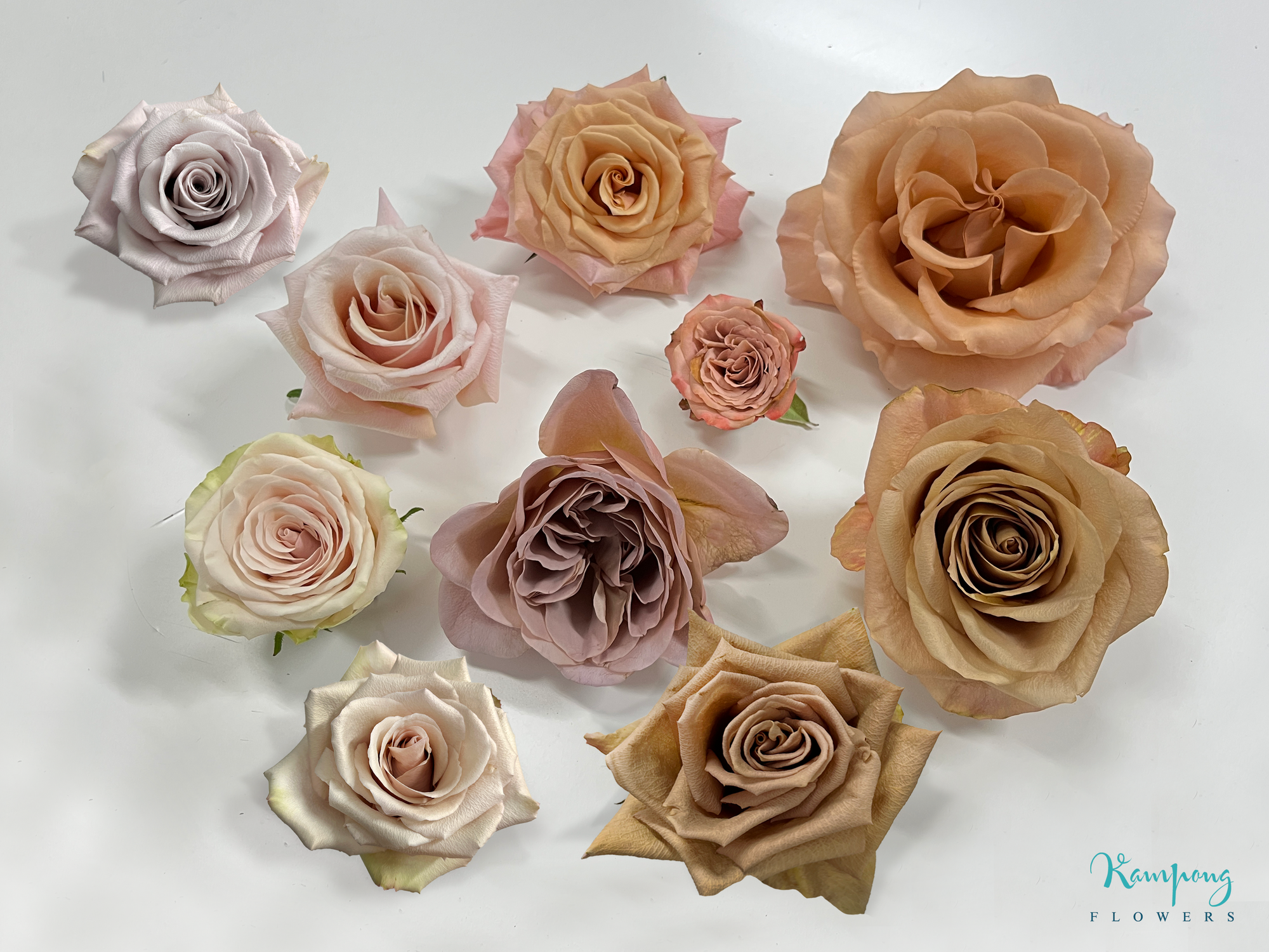 Nude coloured roses