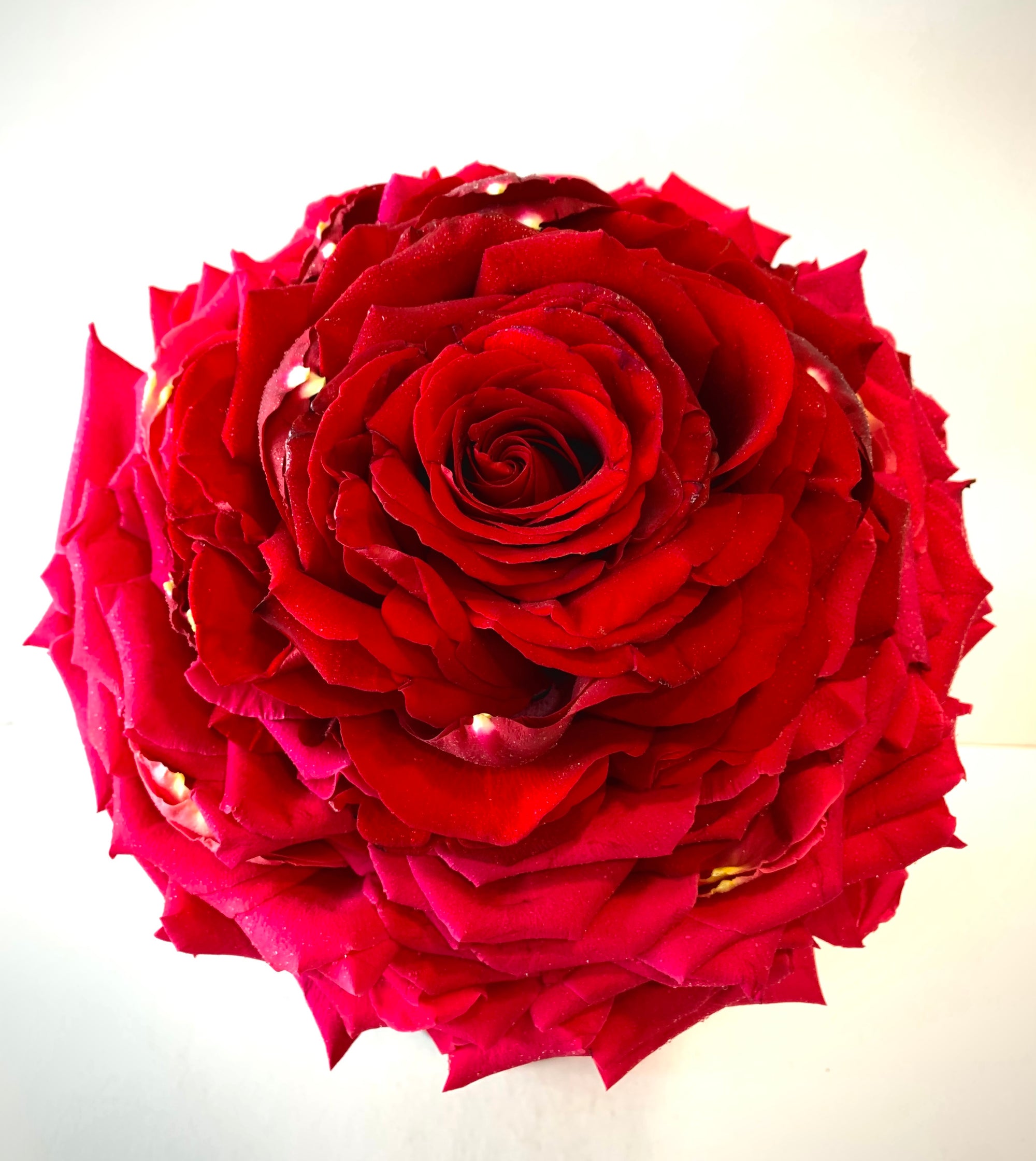Nobleman School of Floral Design Workshop Bouquets Table Arrangements Wedding Events Roses Singapore