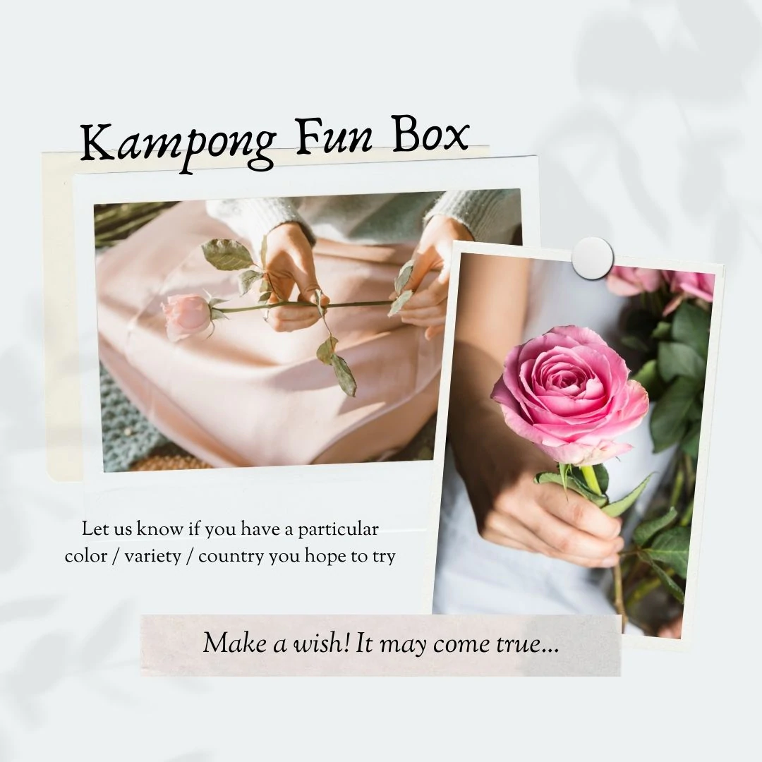 Fun Box Kampong Flowers Singapore Fresh Rose Wholesale Gifts Premium Garden Wish