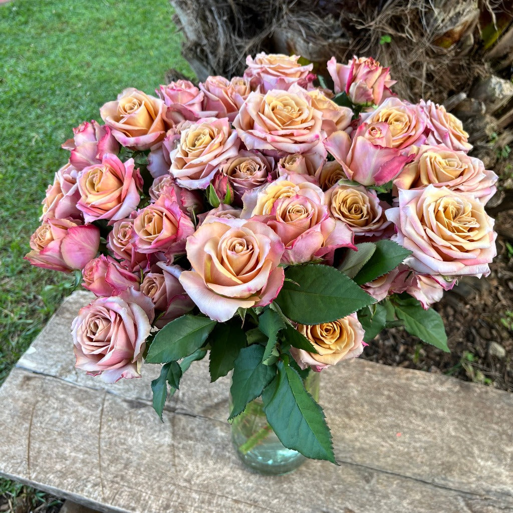 Spray Kenya Pimms Brown Pink Garden Singapore Fresh Rose Wholesale Wedding Gifts Premium 