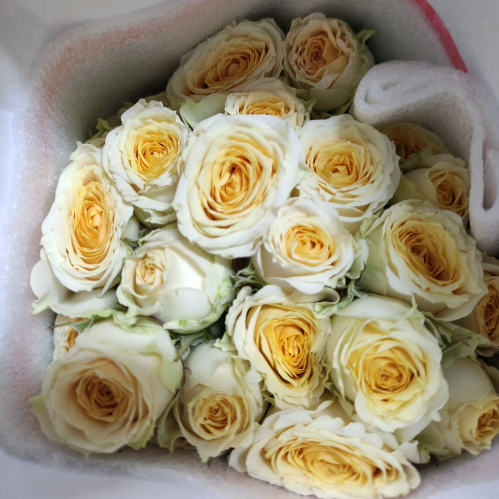 Straw Follies Yellow Spray Kenya White Garden Wholesale Premium Roses Singapore