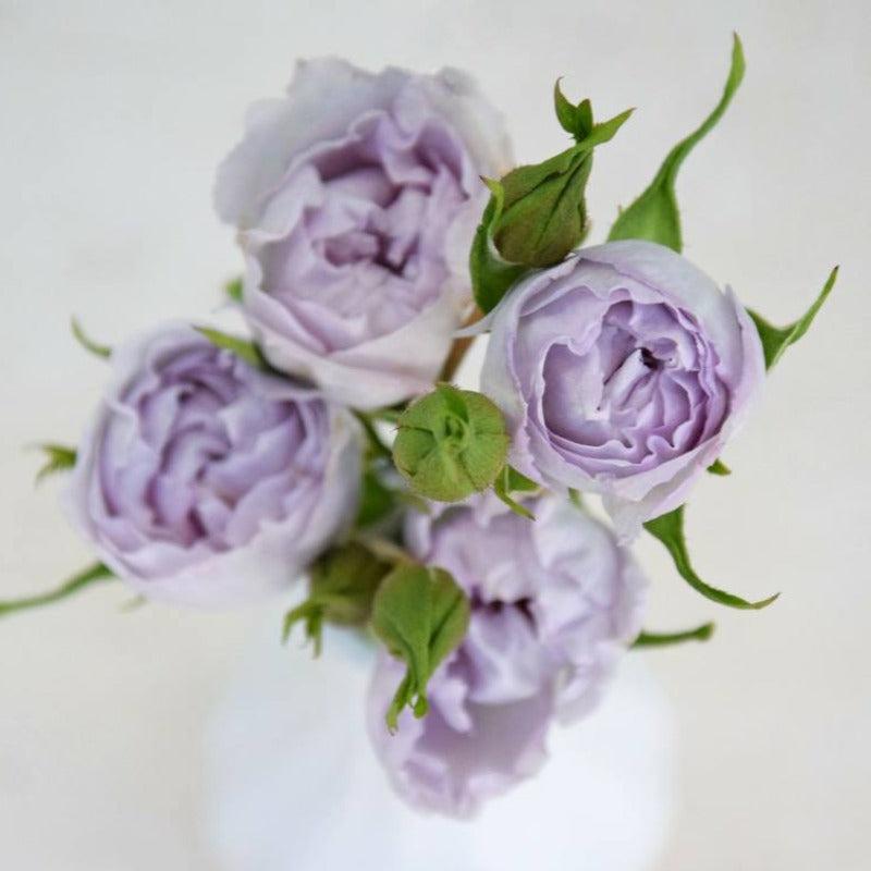 Spray Kenya Everlasting Lavender Garden Purple Scented Singapore Fresh Rose Wholesale Wedding Gifts Premium
