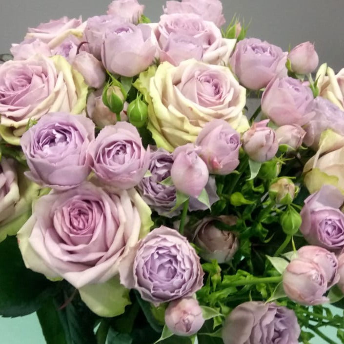 Spray Kenya Lavender Bubbles Purple Garden Singapore Fresh Rose Wholesale Wedding Gifts Premium