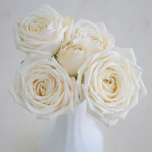 Snow Ballet White Singapore Wholesale Kenya Premium Spray Rose Gifts Wedding